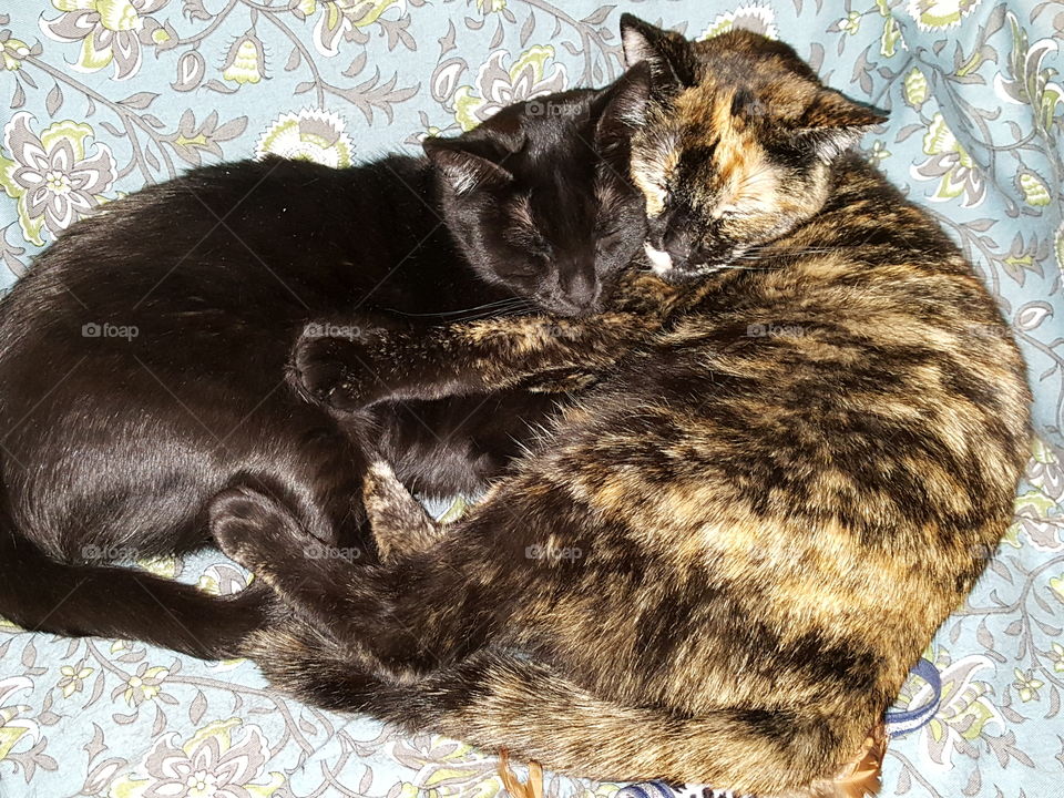 Bonding - momma and daughter