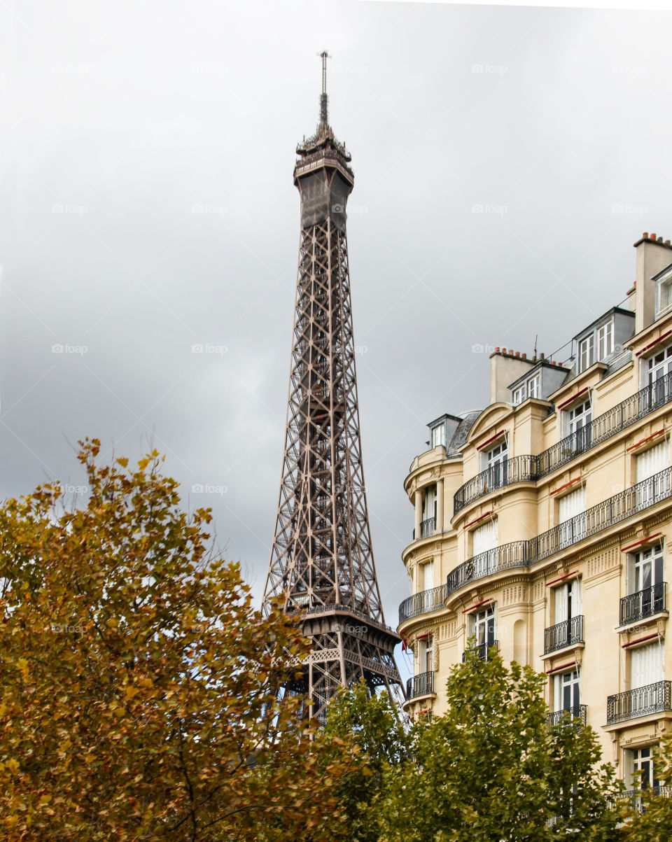 The Eiffel tower in Paris. 