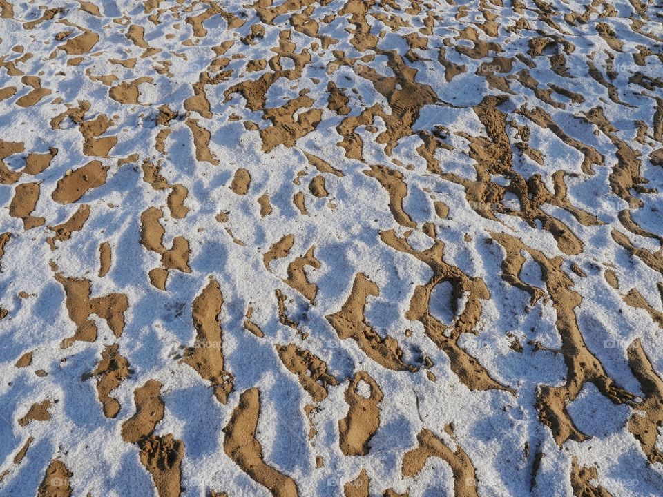 Frozen beach