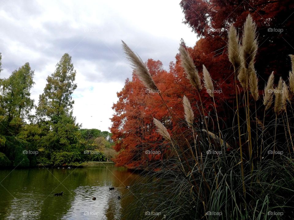 i colori caldi dell'autunno.