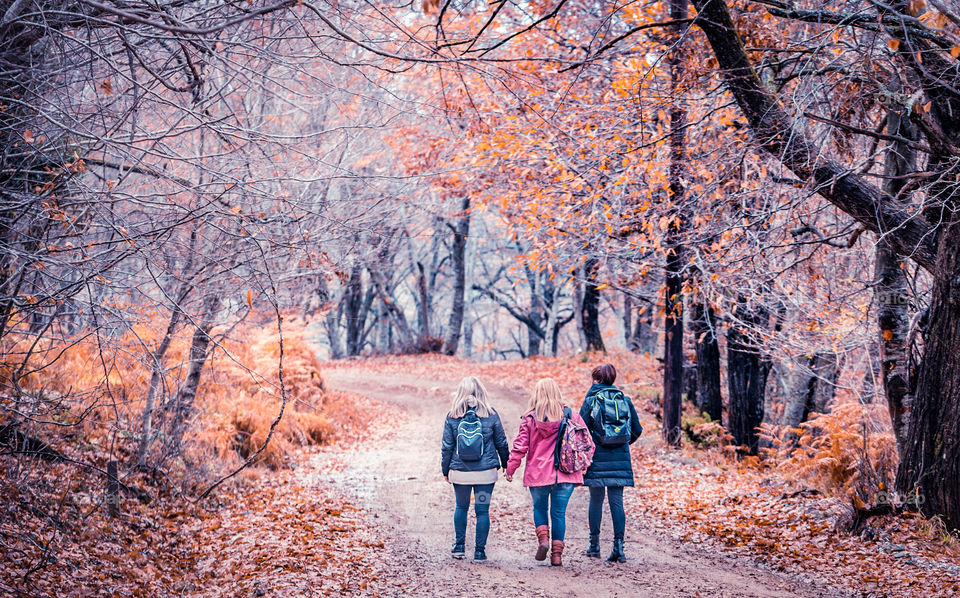 Active women, hiking girls walking in forest living healthy lifestyle doing outdoor activities. Female hikers trekking outside in woods wearing backpacks. Αdventure in autumn.