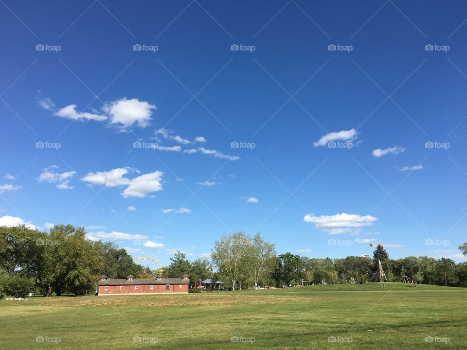 Golf, No Person, Grass, Tree, Landscape