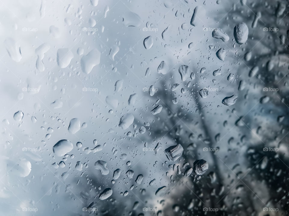 Clase-up of a water drops 