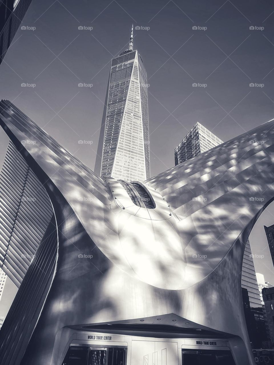 The Oculus and World Trade Center 