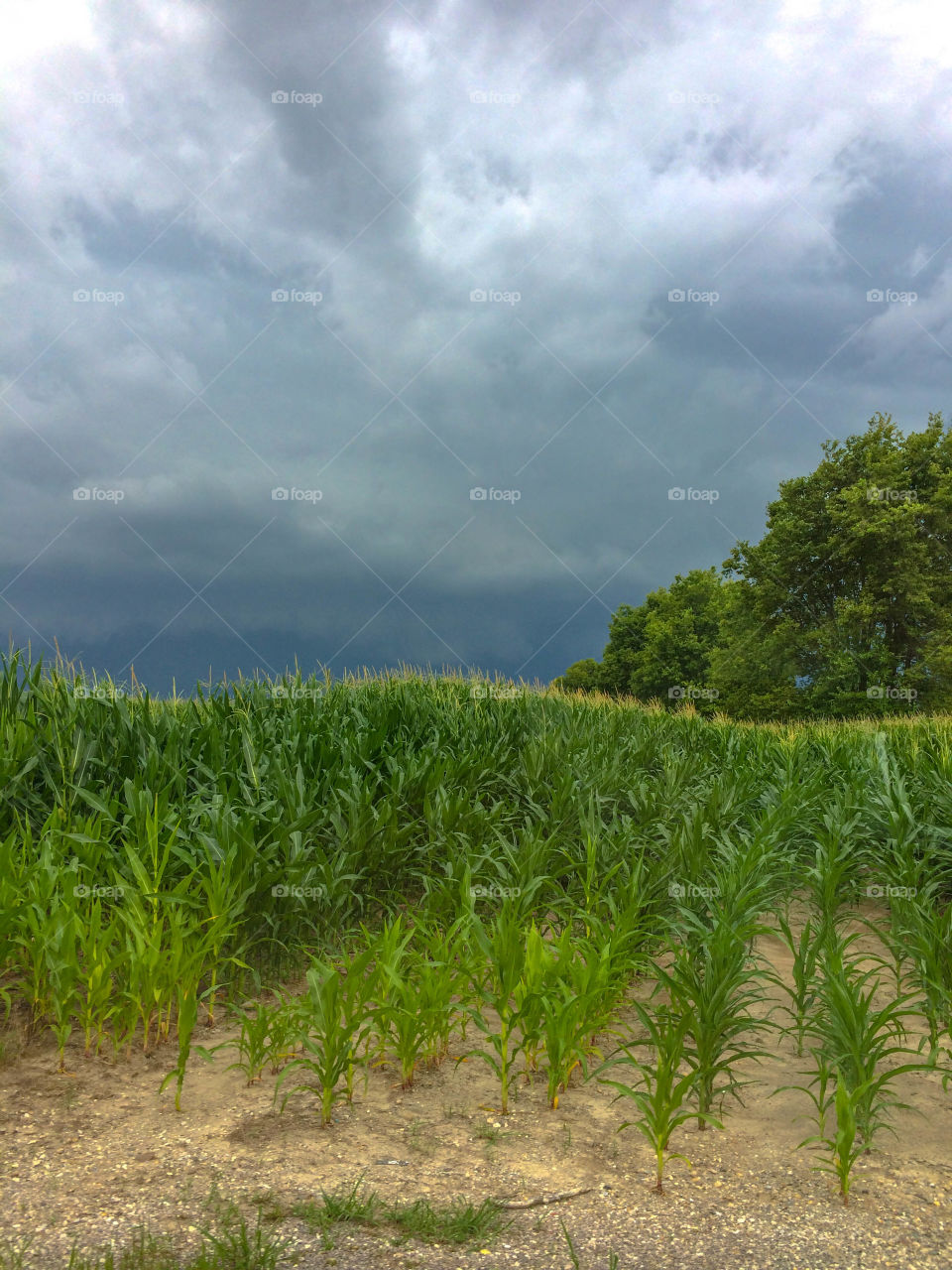 Storm brewing