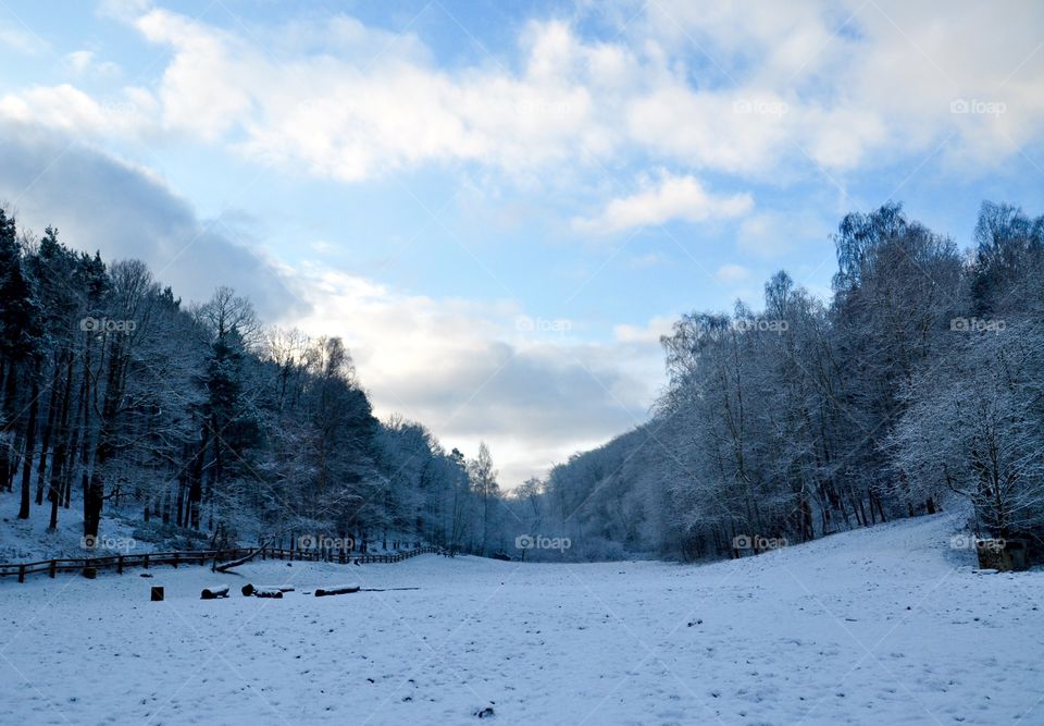 Snow, Winter, Cold, Landscape, Frost