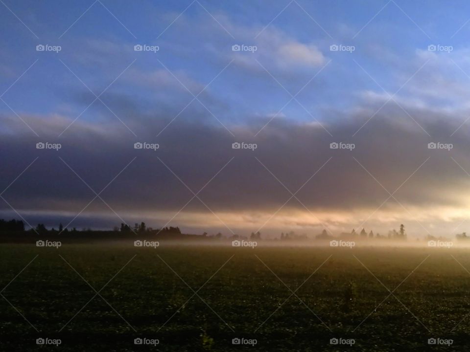 Foggy Sunrise on country landscape