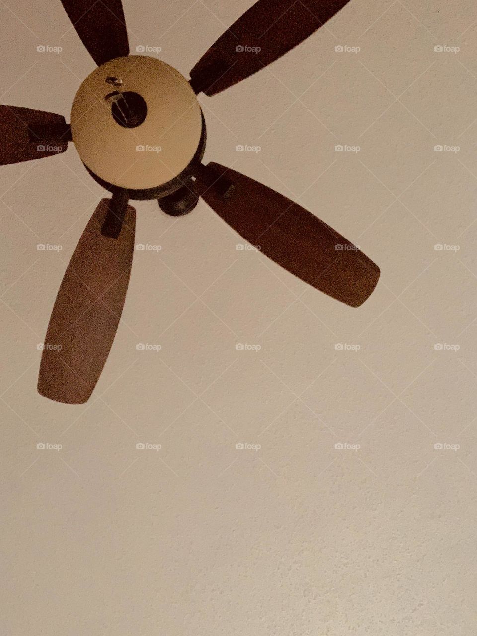 Ceiling fan 