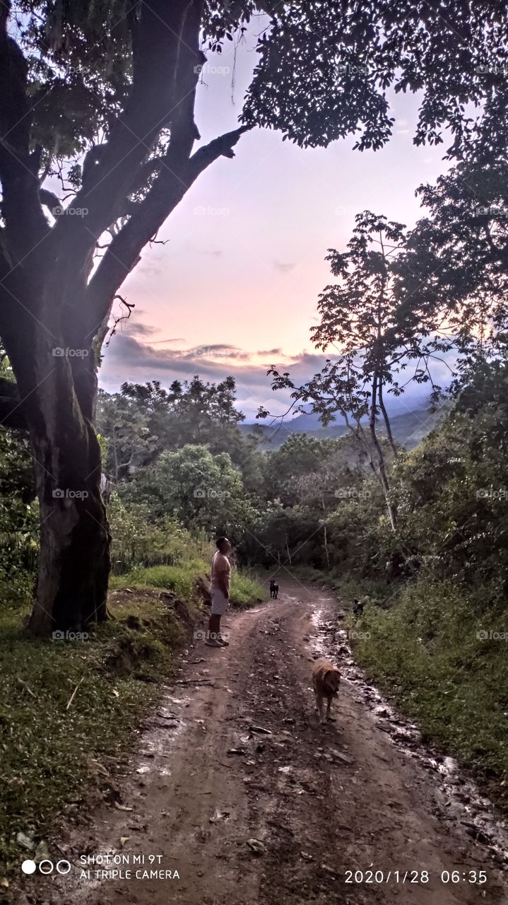 anochecer con hermoso cielo