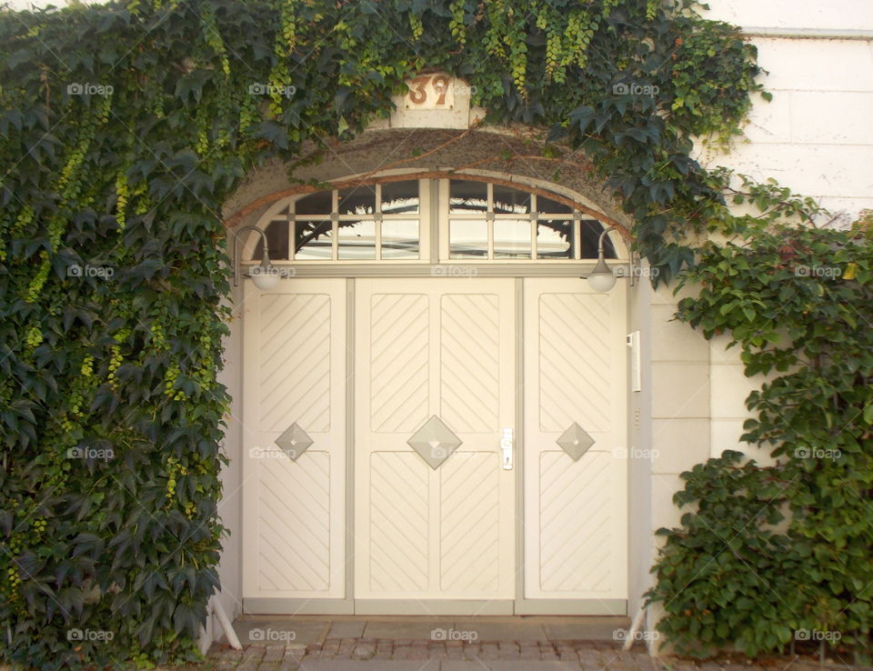 Doors of Lüneburg