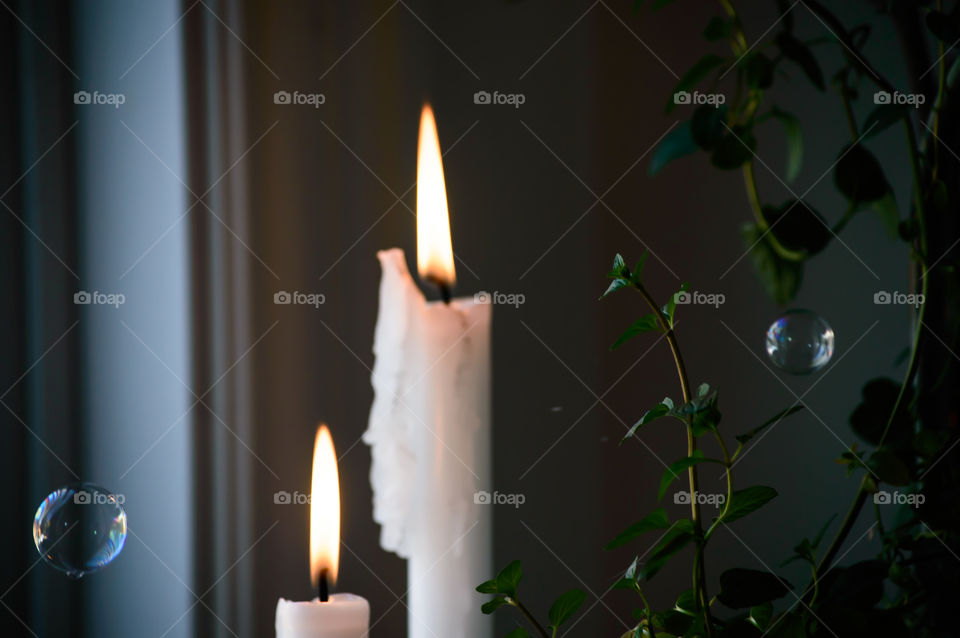 Bubbles travelling between darkness and light floating through the air with cans light flames and growing fresh leaves conceptual background 