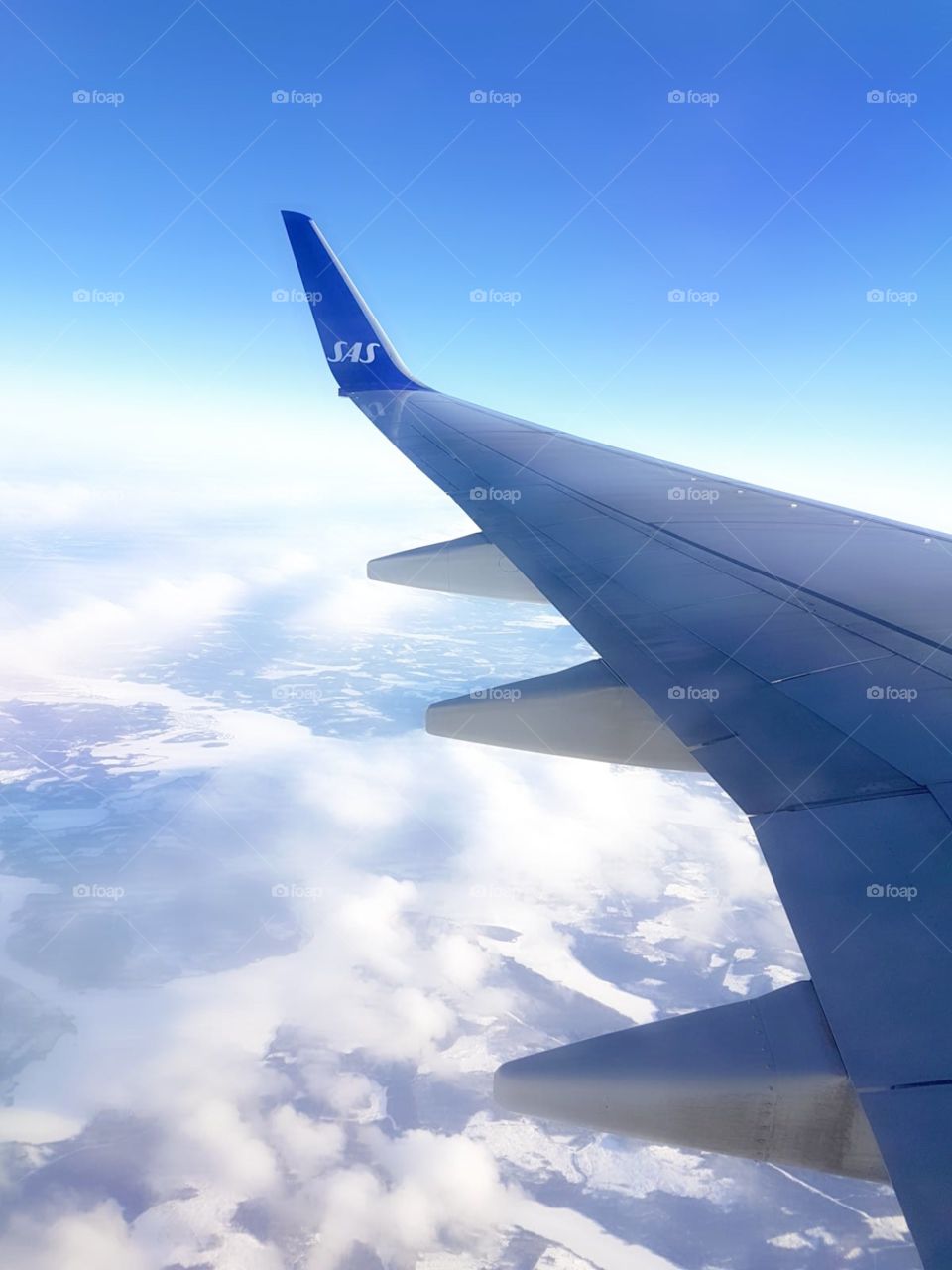 SAS airplain in the air.