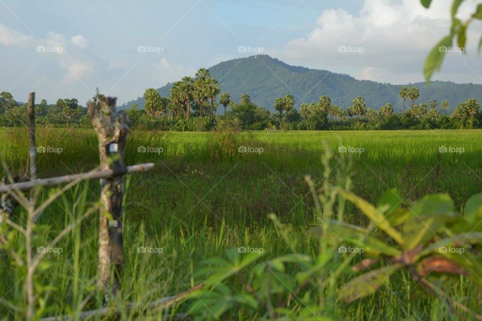 Countryside at Dawei district, Myanmar