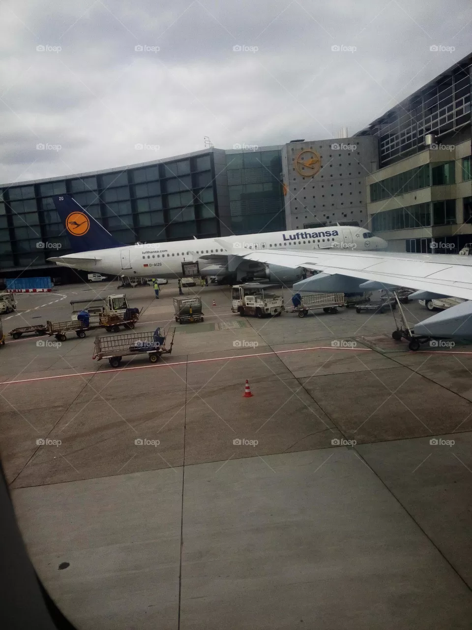 Avion
