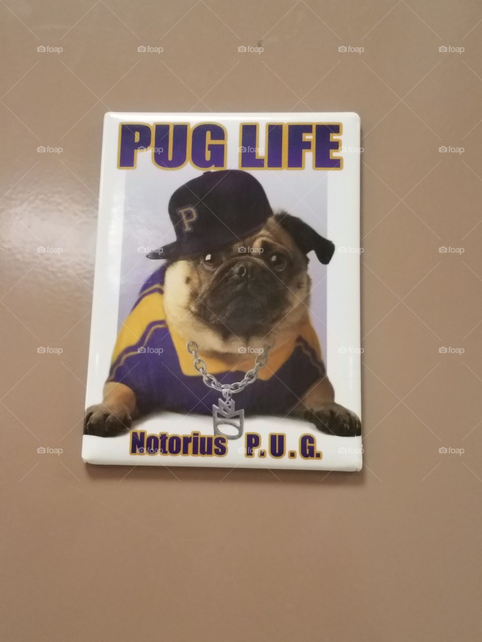 pug life