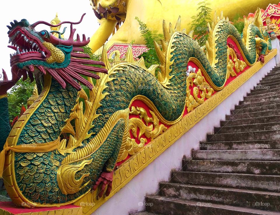 Dragon. Chinese New Year.