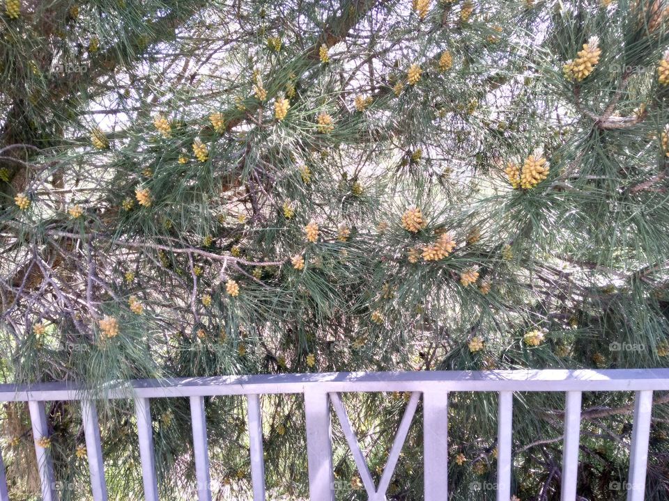 Editors' Choice - Photo of the Week