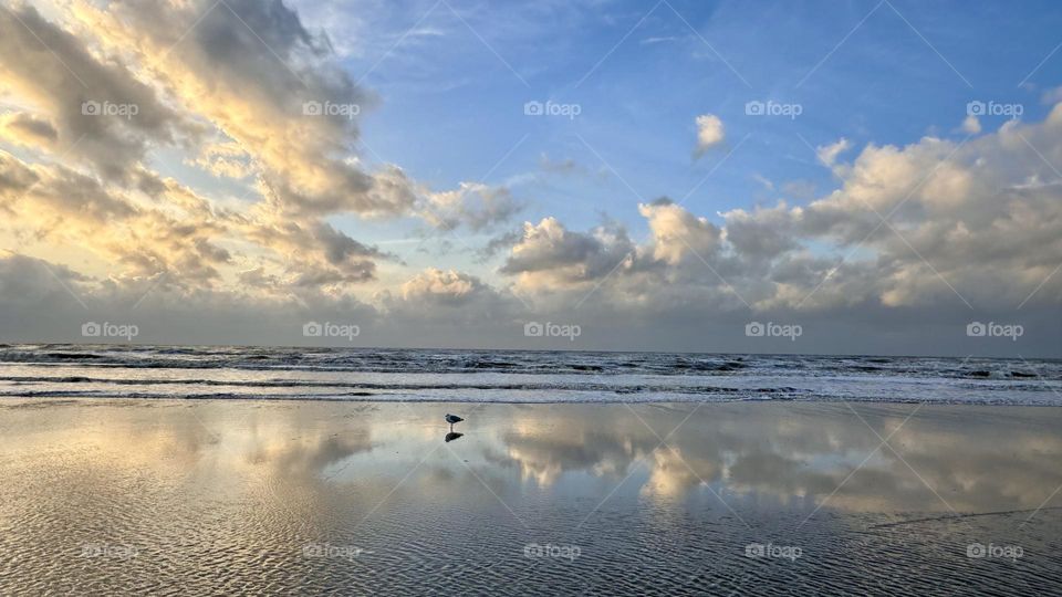 Late afternoon at the beach at the North Sea. Netherlands, Fall, October. 