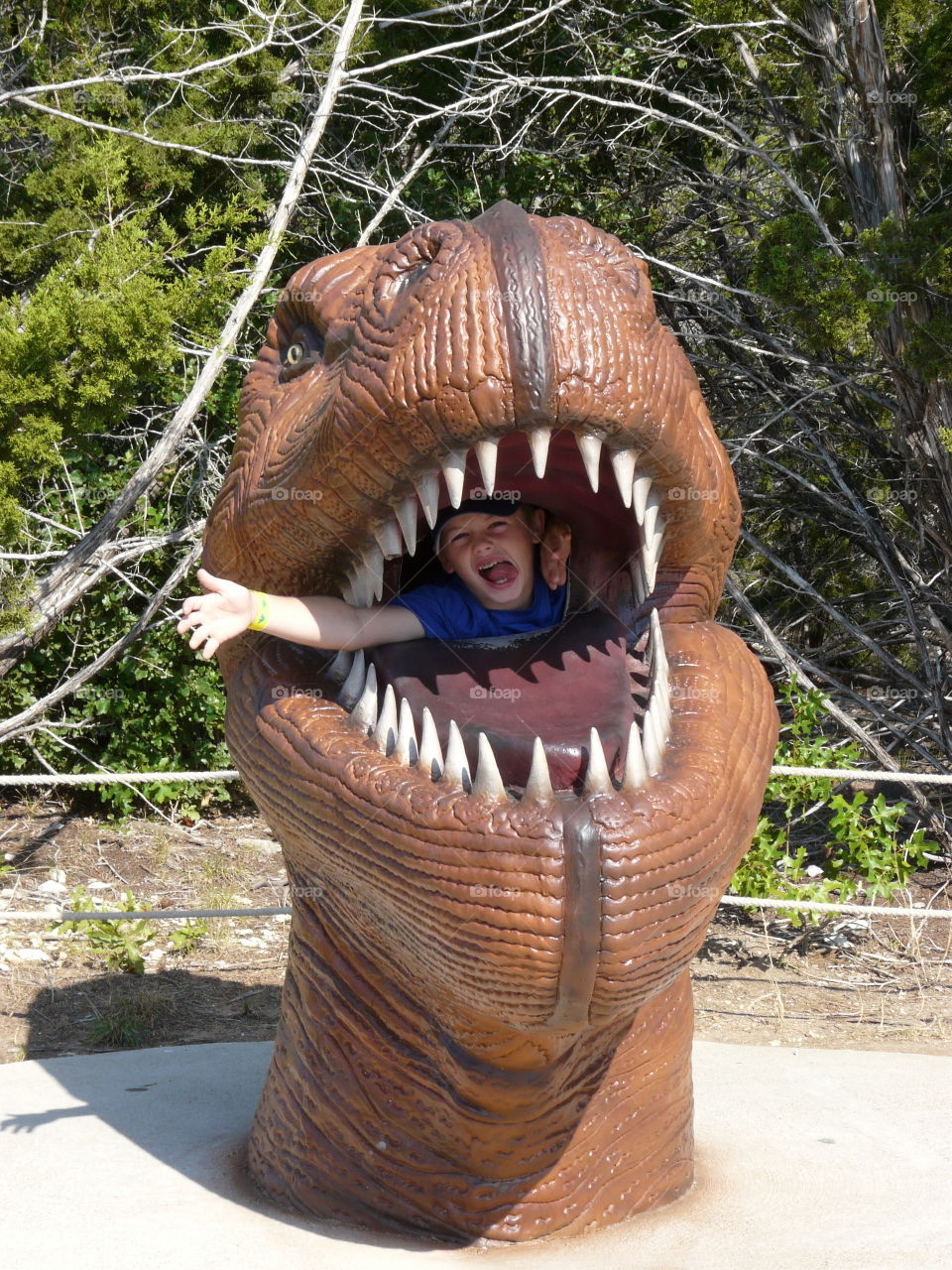 Boy inside the dinosaur's mouth