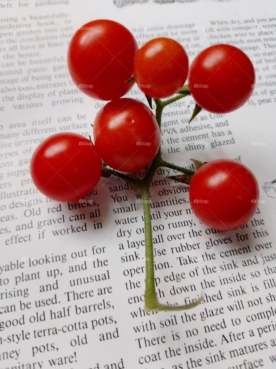 cherry oh bby.. 💕