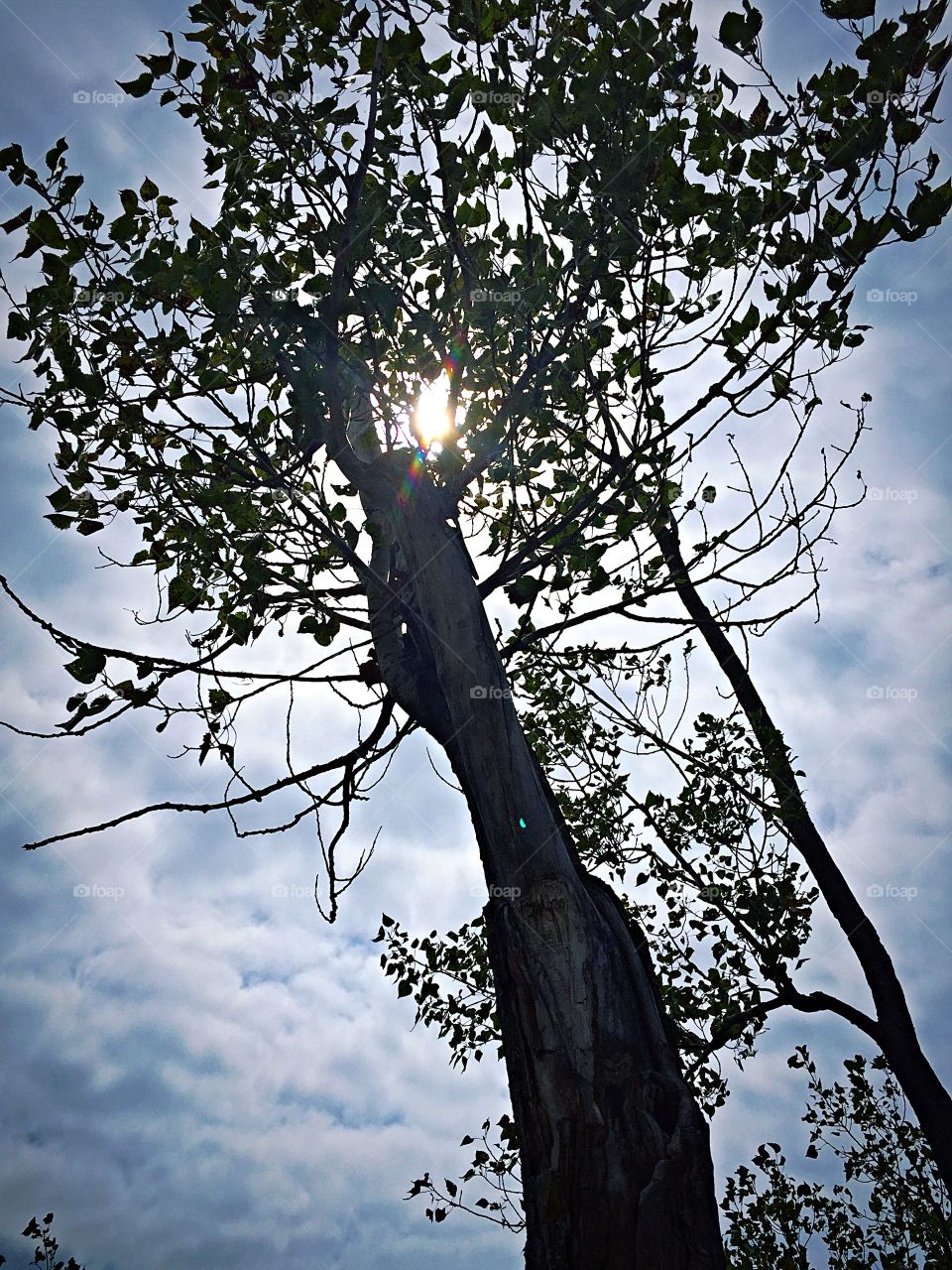 Light Peeking Through