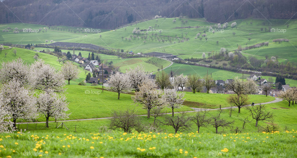 Countryside view of Switzerland