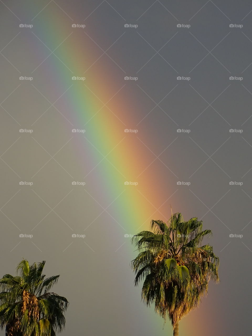 View of a rainbow