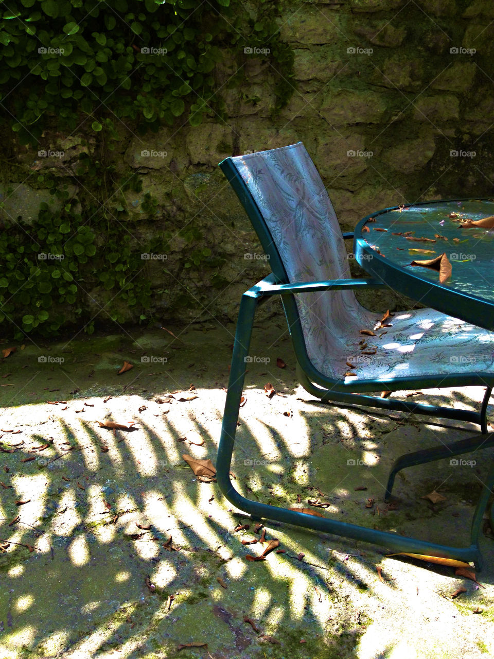 A chair in a garden