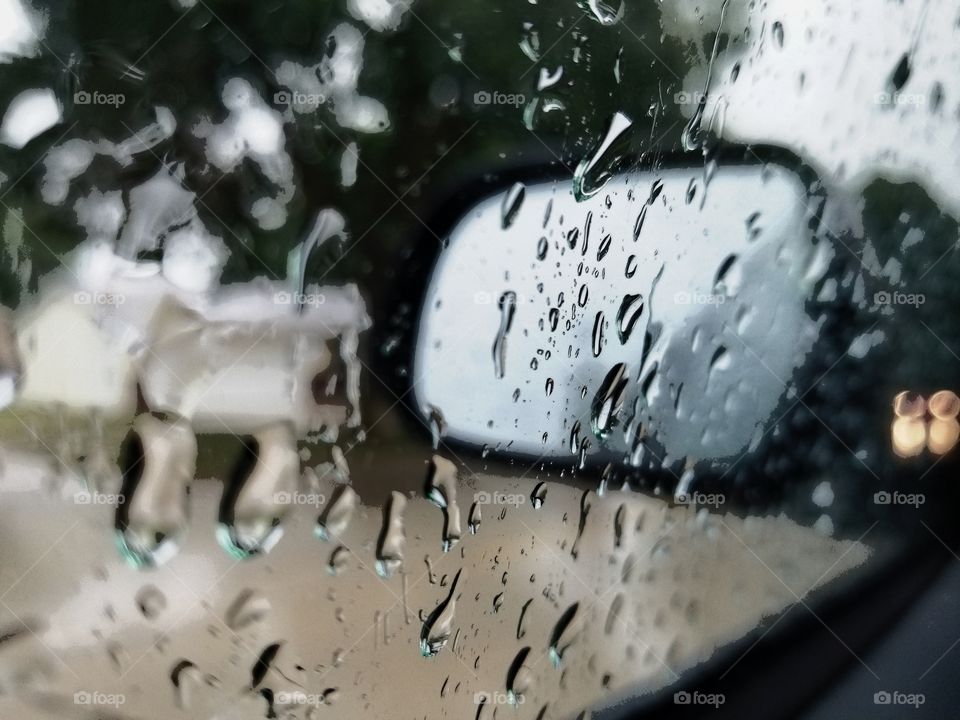 Rainy Reflection