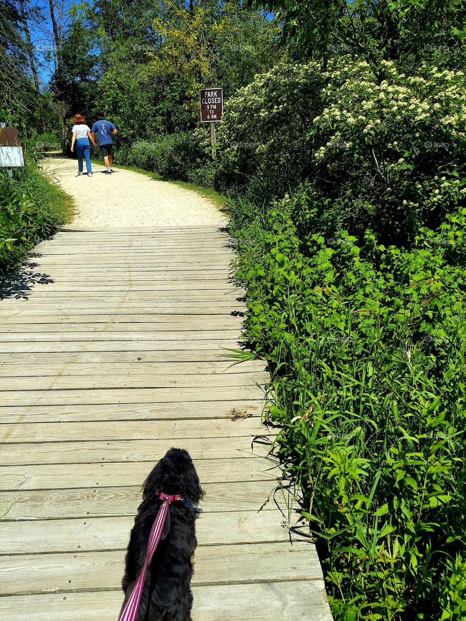 Boardwalk