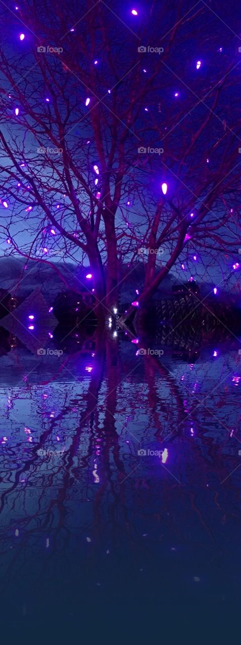 Christmas reflection