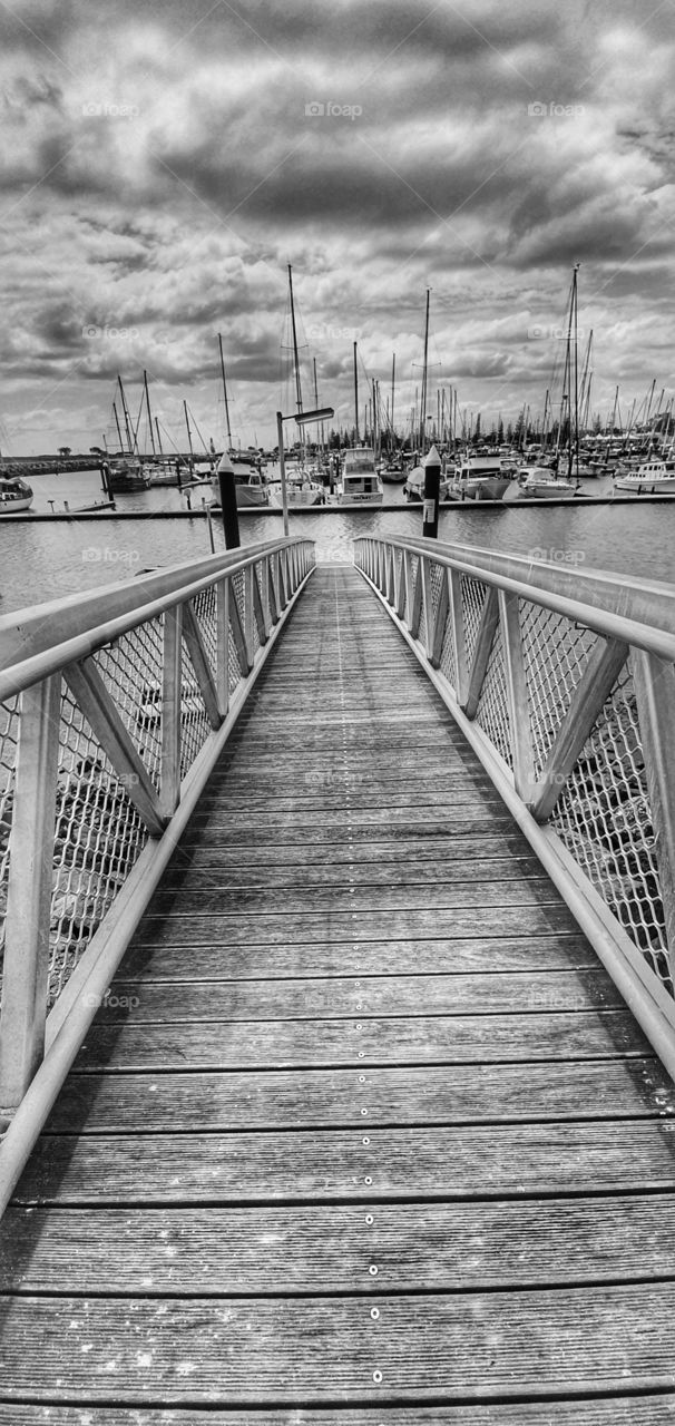 jetty in Scarborough Queensland