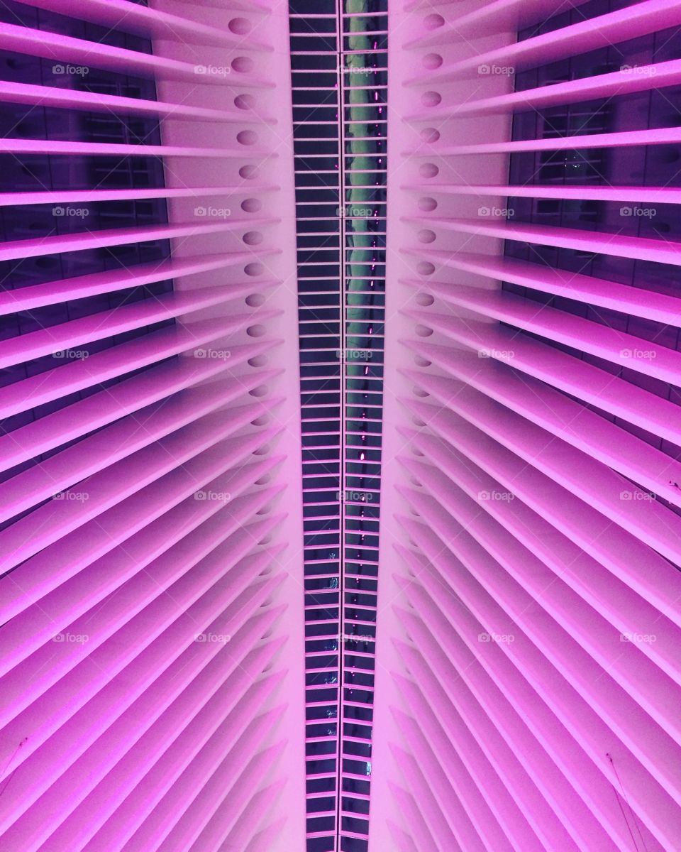 Close-up of purple ceiling