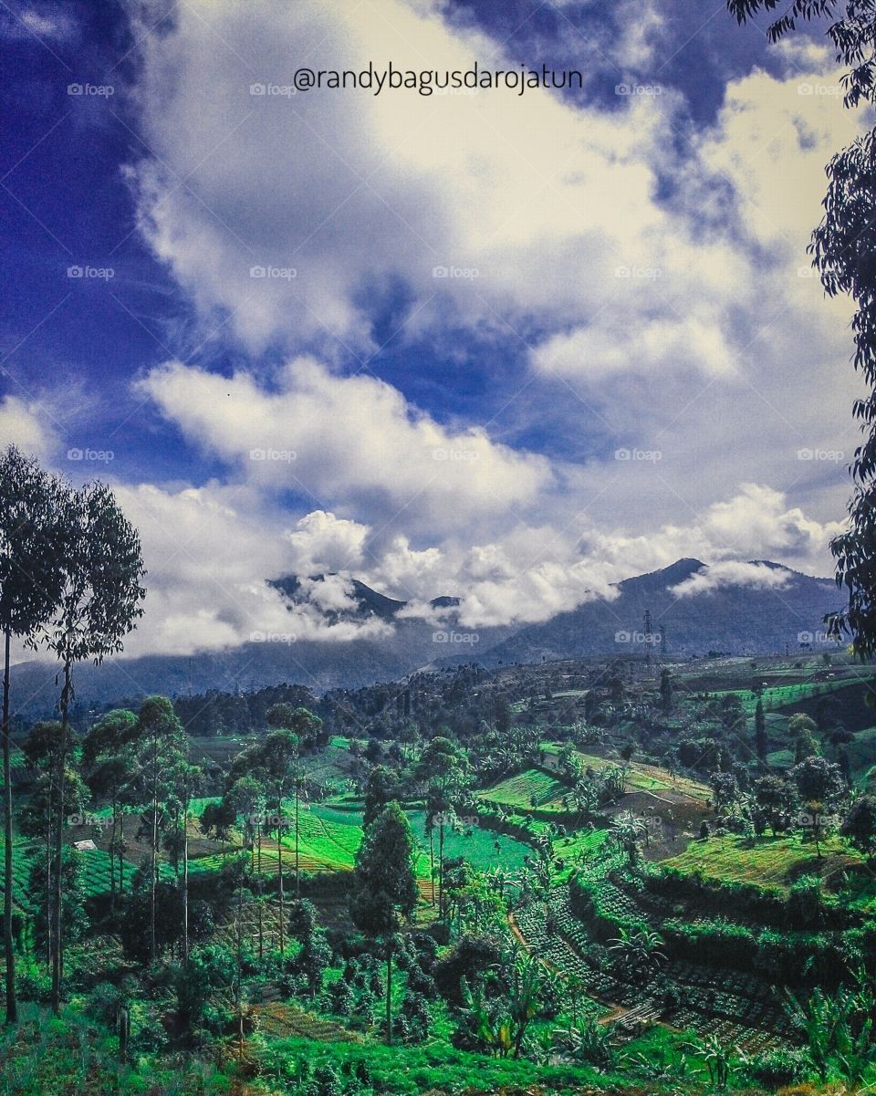 Travel, Tree, No Person, Nature, Landscape