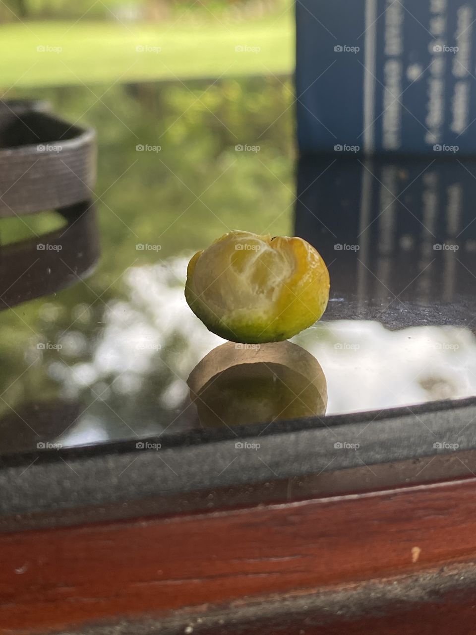 Baby Tangerine - Mandarina bebé 