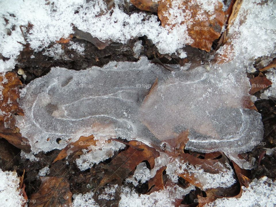 My Frozen Footprint