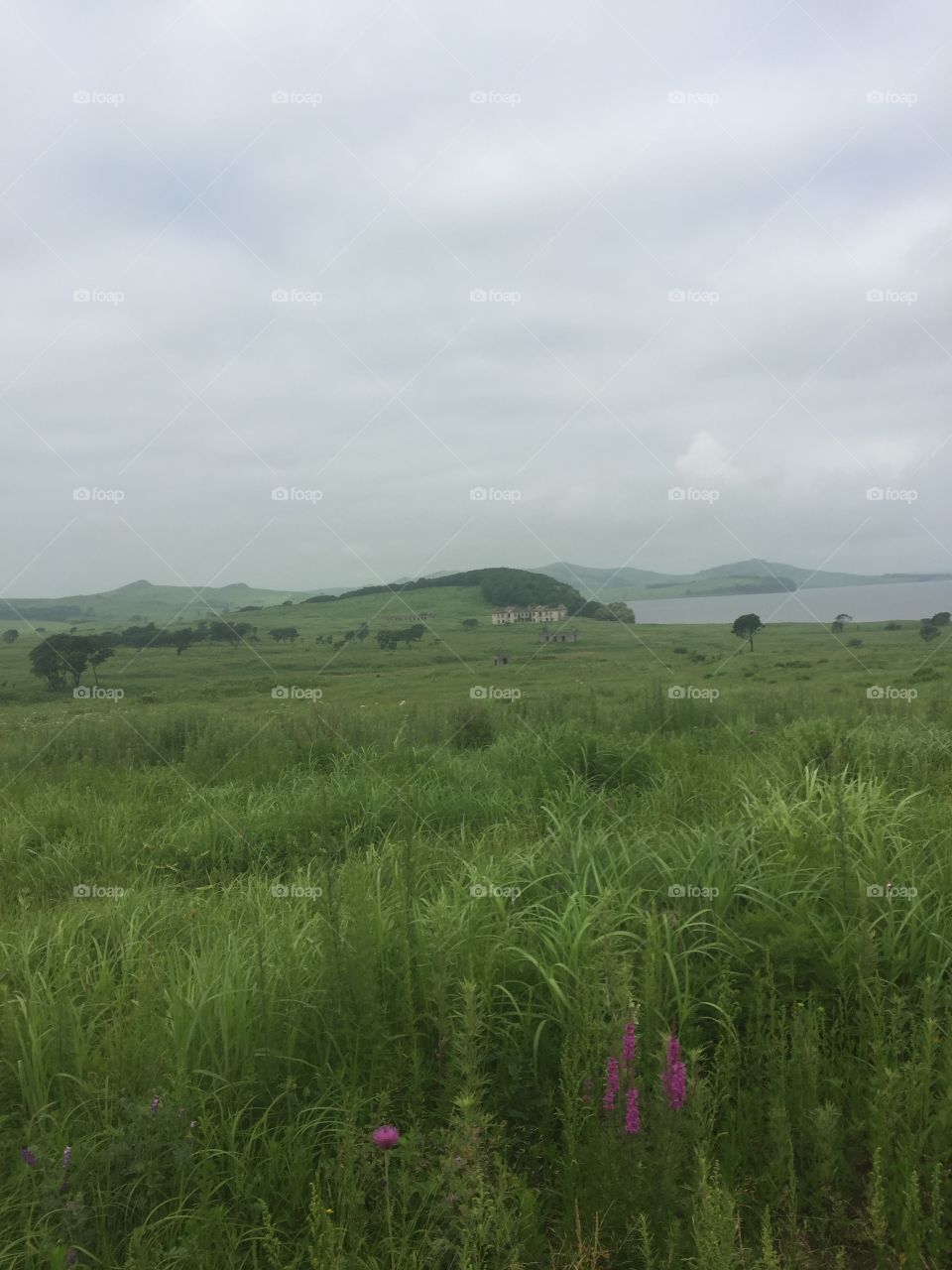 Остров Попова 