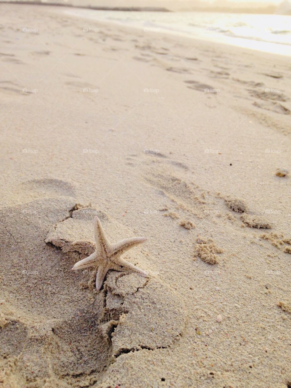 #Stern #Sand #Strand 