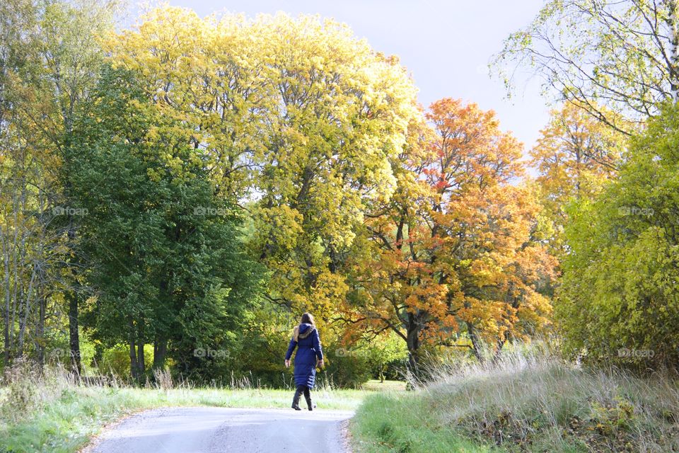 autumn colors