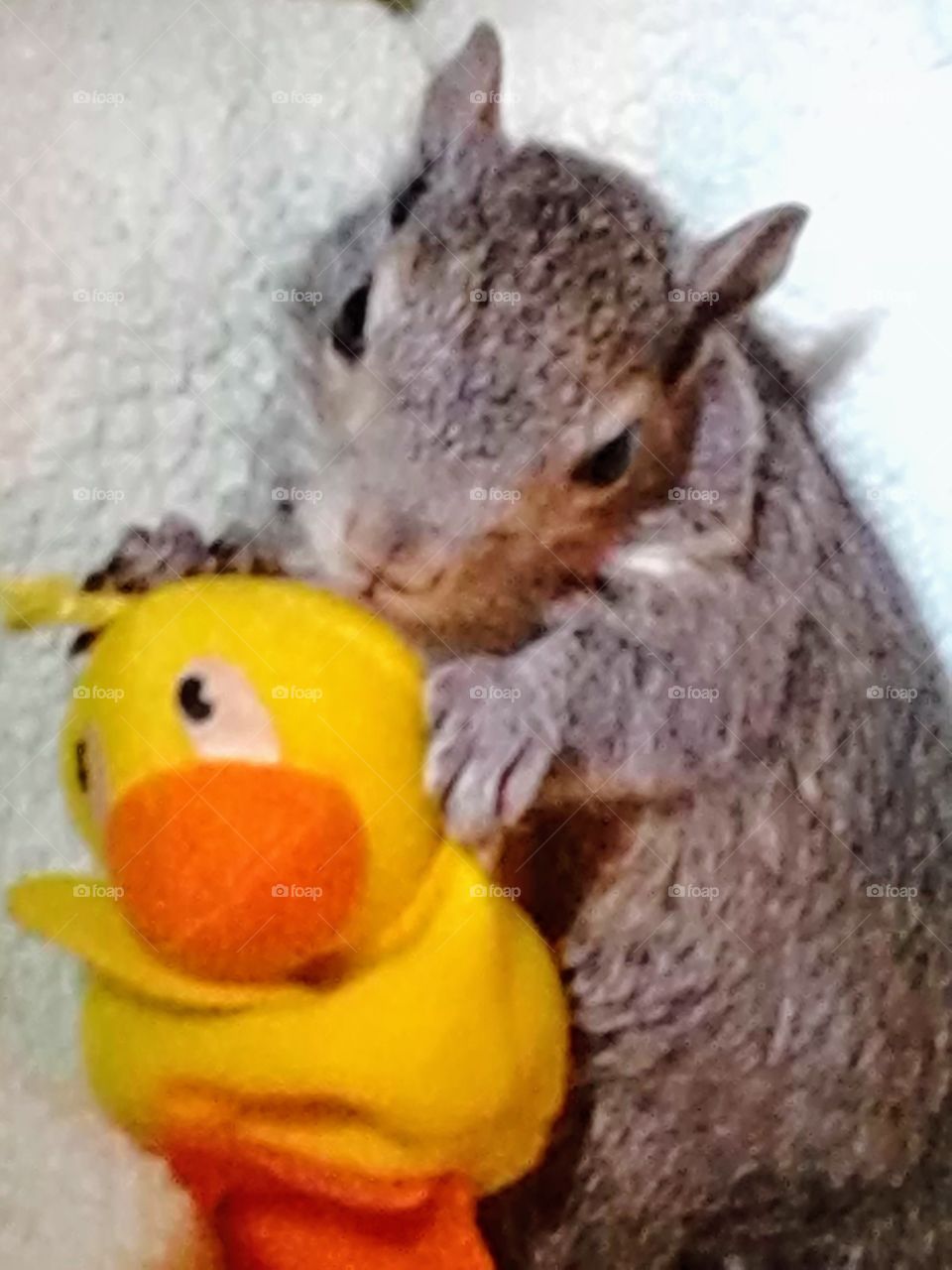 Hope and her ducky