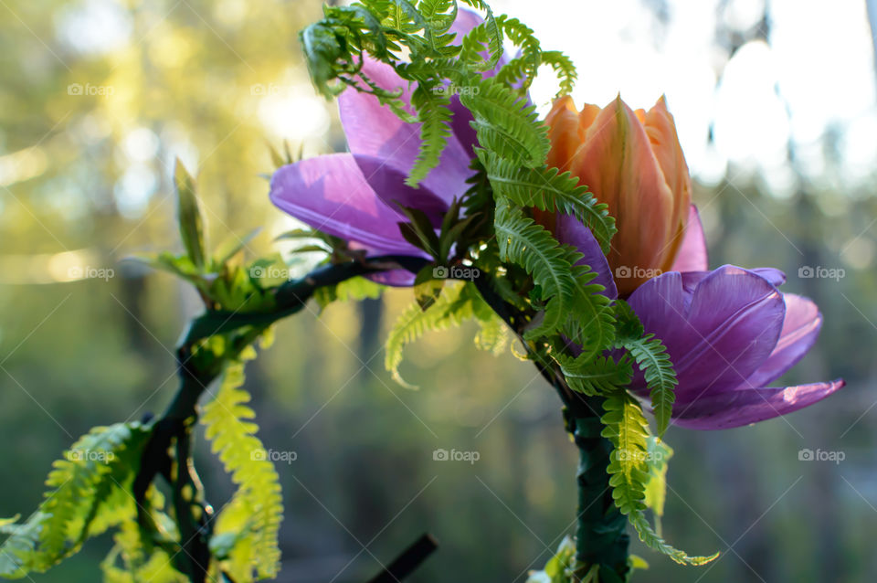 Beautiful elegant fairy queen stylish flower crown with orange and purple tulips, vibes and curly ferns conceptual flower design photography