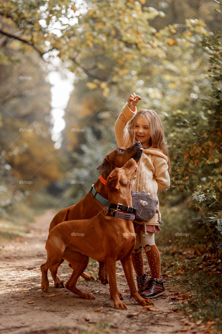 Little girl playing with dogs in an autumn park