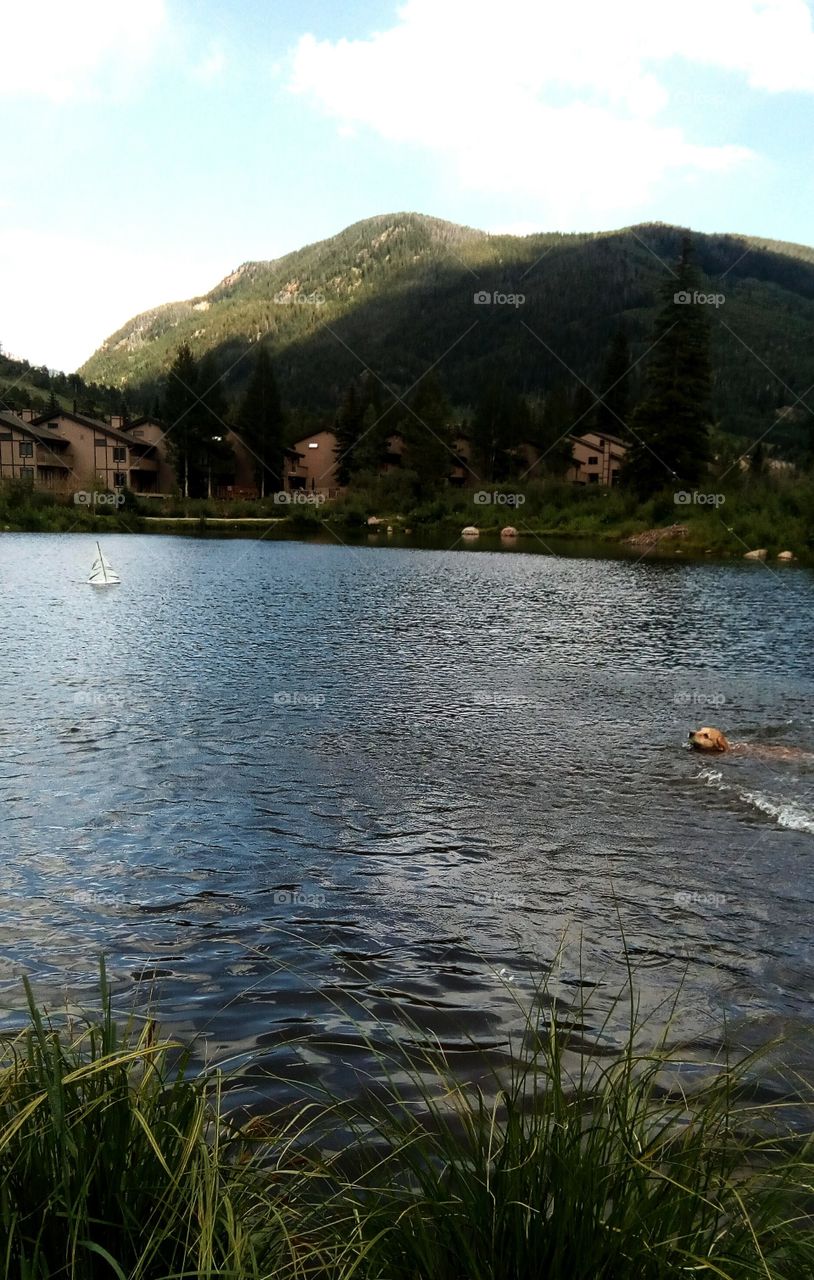 Colorado Dreams: The Townhouse Pond