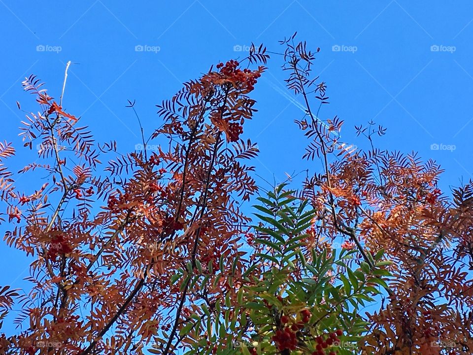 Fall is here