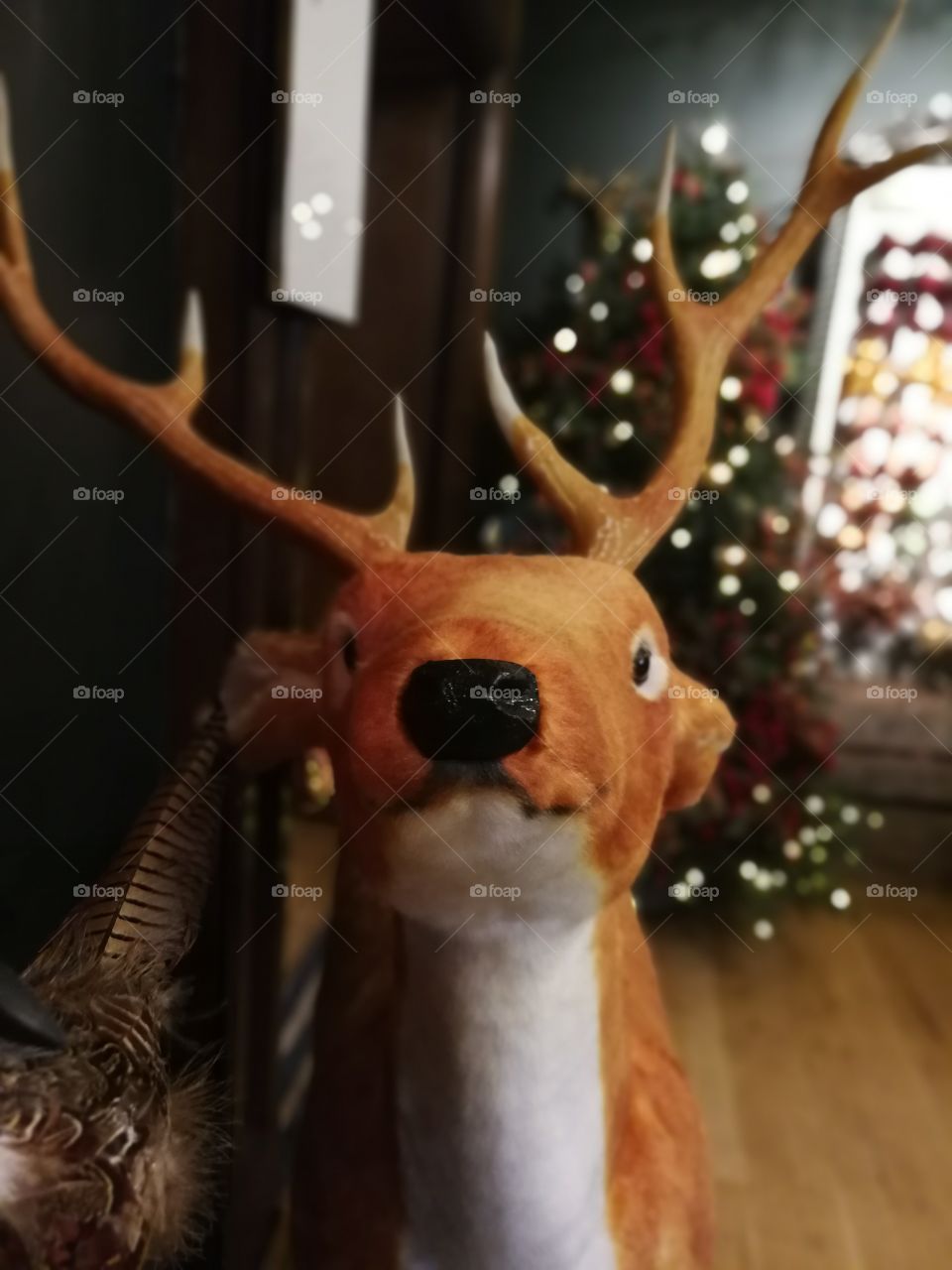 Rudolph reindeer toy
