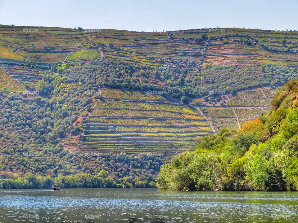 Cruising on the Douro