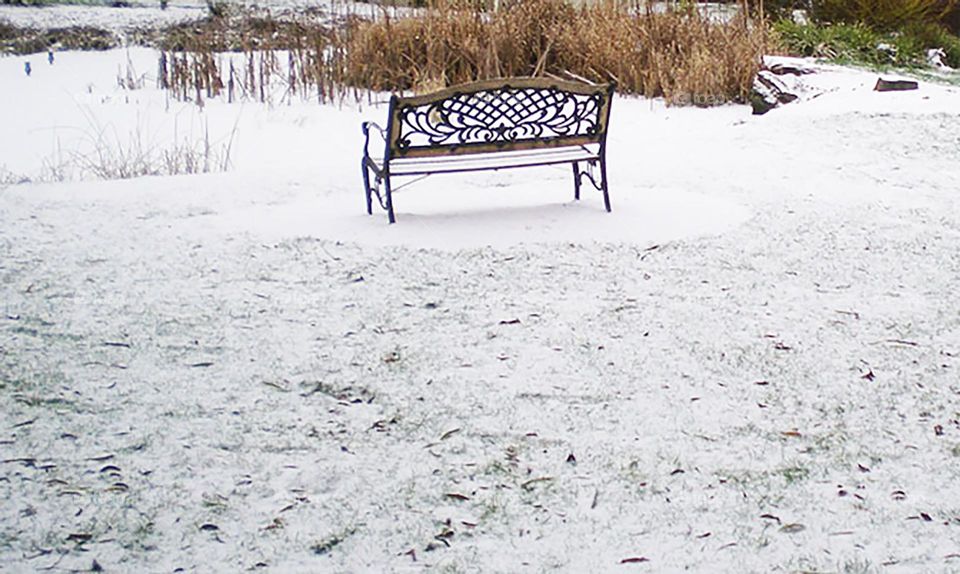 bench in the snow by a frozen pond in Oregon