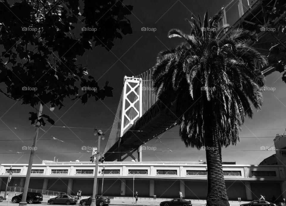 Taking a walk along the Embarcadero and was transported back in time for this image noire. 