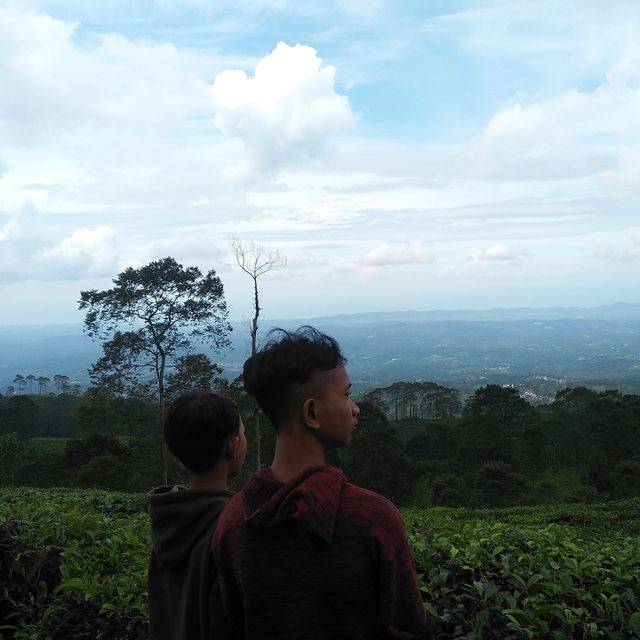 Dieng_indonesian