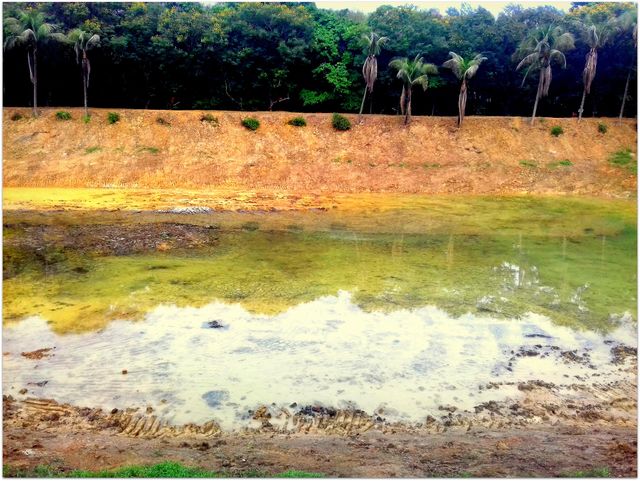 Lake
